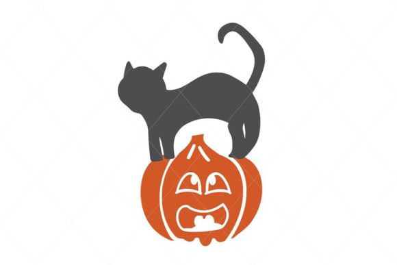 Download Scared Pumpkin, Pumpkin Cat - Pumpkin Collection