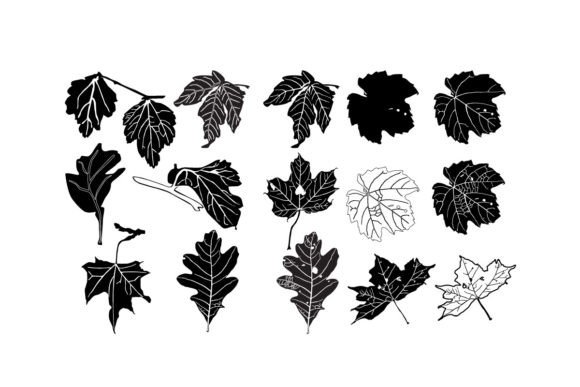 Download Maple Leaves Unique Designs - Unique designs Collection